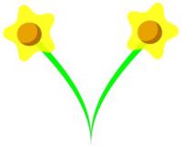 daffodils-pair