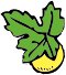 lemon-w-leaf