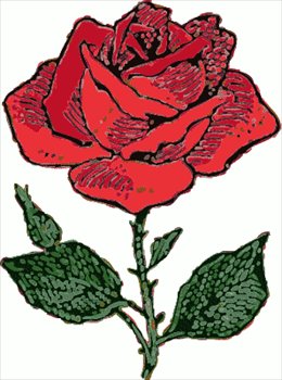 rose-drawing.jpg