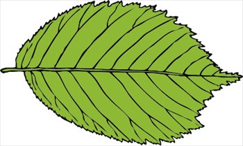 free clipart leaf
