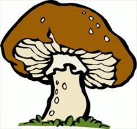 big-mushroom