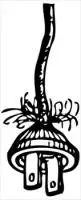 frayed-electric-plug