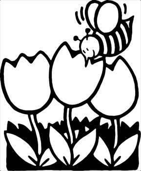 bee-on-tulips