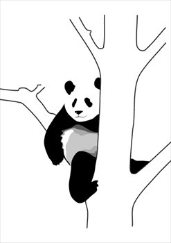 panda-in-tree