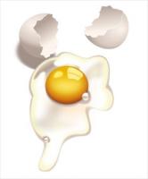 egg-uncooked