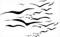 flock-of-seaguls