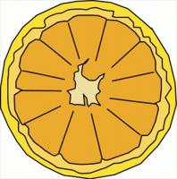 grapefruit-half