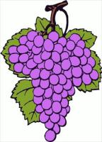 grape-cluster