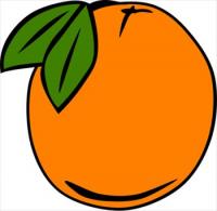 Free Oranges Clipart - Free Clipart Graphics, Images and Photos. Public