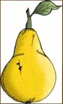 pear-1