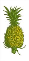 pineapple-5