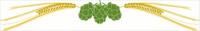 hops-and-barley-2