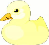chick