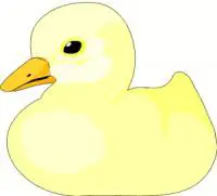 chick