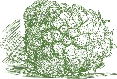 cauliflower