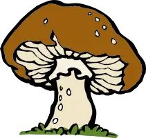 bigmushroom