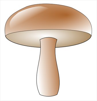 champignon-01