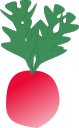 radish-icon