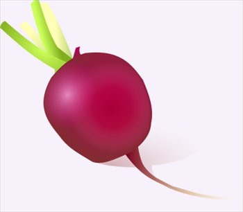 radish