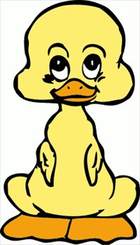 baby-duck