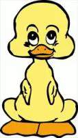 baby-duck