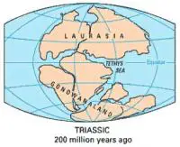 plate-teutronics-Triassic