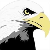 eagle-profile