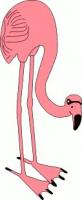 flamingo-pink