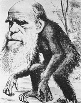 Darwin-ape
