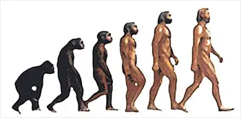 ape-man-evolution-larger