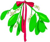 mistletoe-small-bright