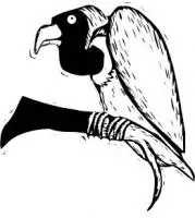 vulture