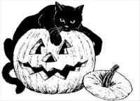 black-cat-pumpkin