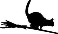 cat-broom