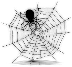 a-spider-web