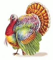 turkey-colorful