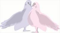 blue-and-pink-doves
