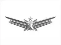 Air-Force-Space-Badge-Senior