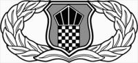 Air-Traffic-Control-badge