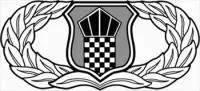 Air-Traffic-Control-badge