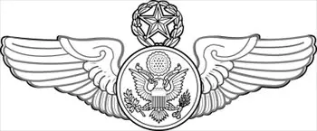 Chief-Enlisted-Aircrew-badge-command-level