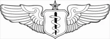 Flight-Surgeon-badge-Senior-Level