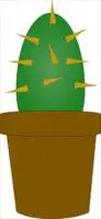 cactus-1
