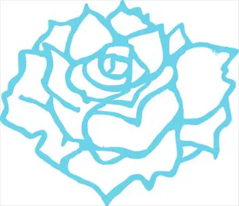 full-bloom-linda-kim-01