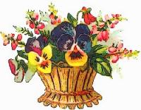basket-flowers