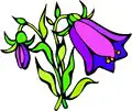 Bell-Flower-4