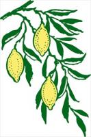 lemon-branch