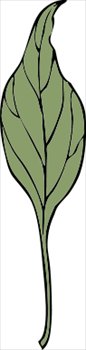 ivy-leaf-4