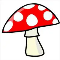 mushroom