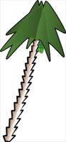 leaning-palm-tree